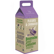 Kit Crescer  Flores para comer